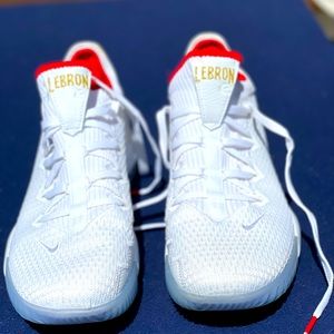 Never worn Lebron James GOAT Draft Night